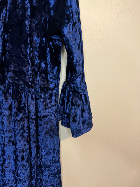 Bella Flore Velvet Dress