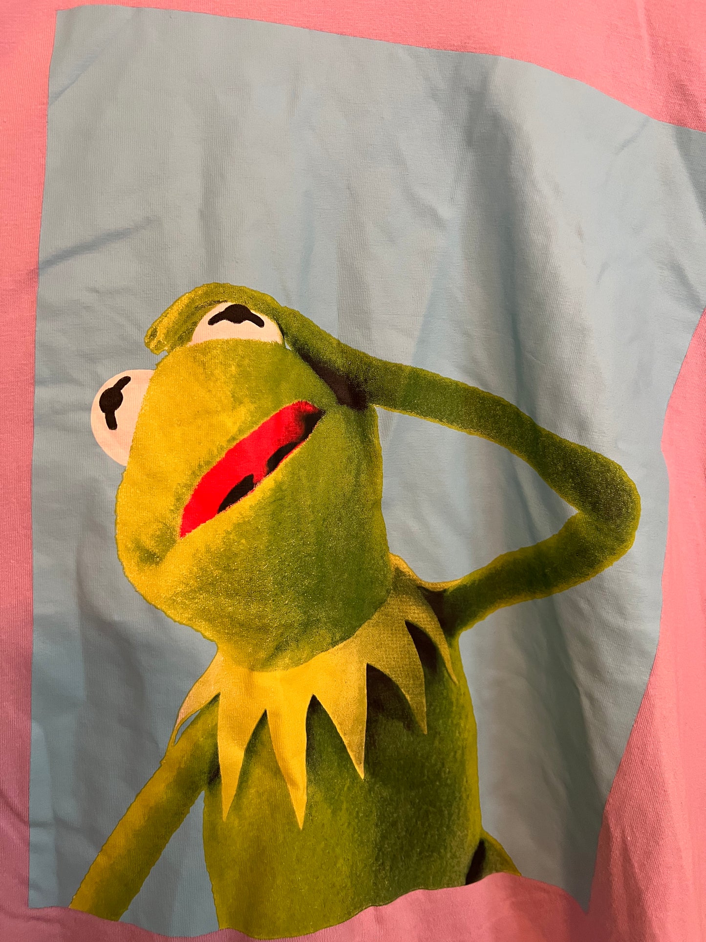 Disney Kermit the Frog Long Sleeve T-shirt