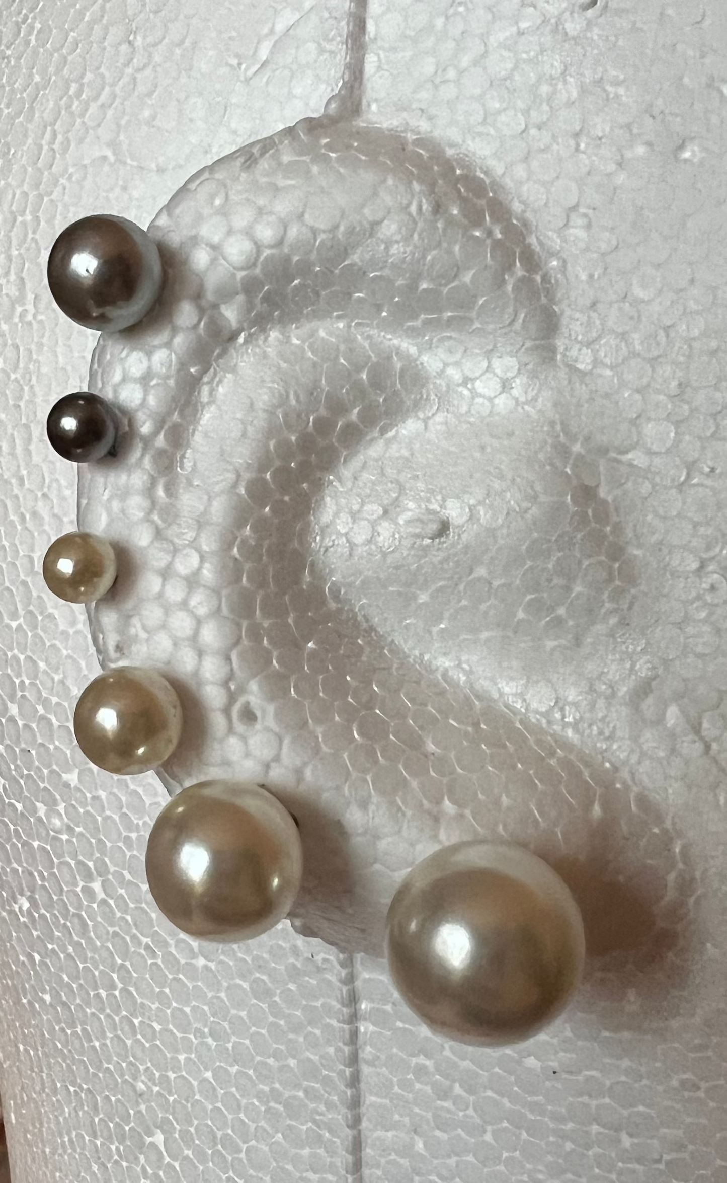 Pearl Stud Earrings (6 Pairs)
