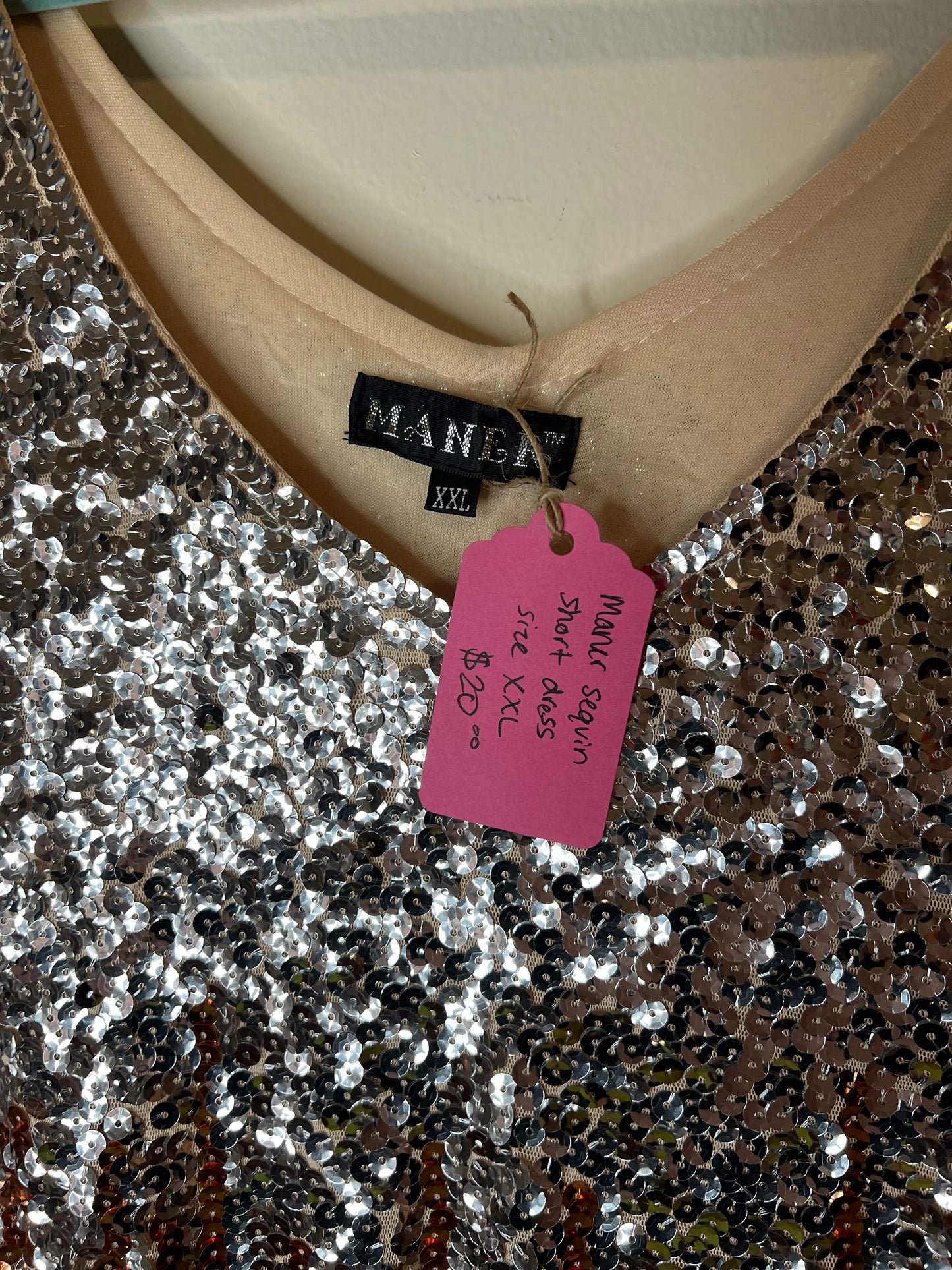 Maner Sequin Mini Dress