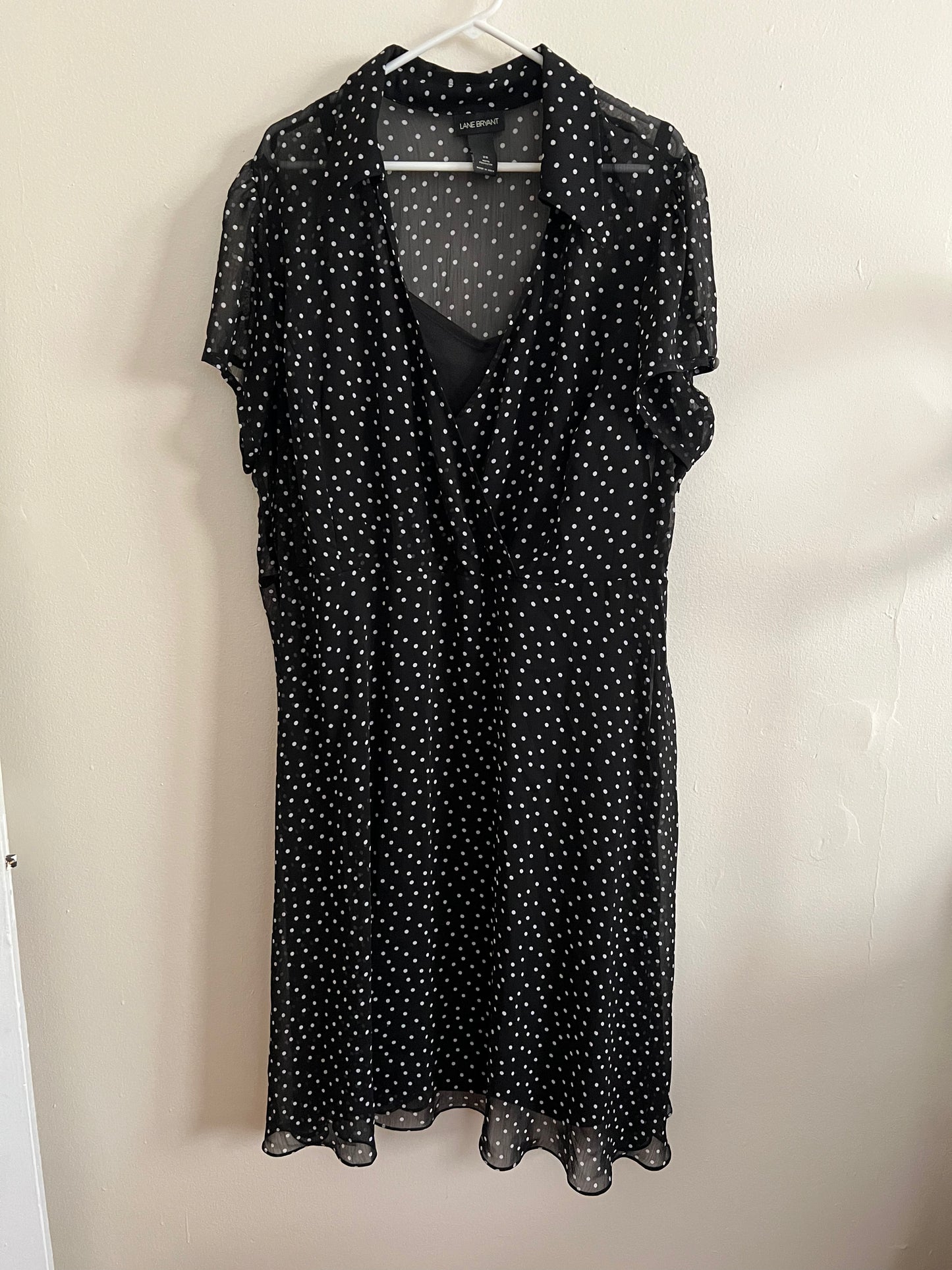 Lane Bryant Polka Dot Dress