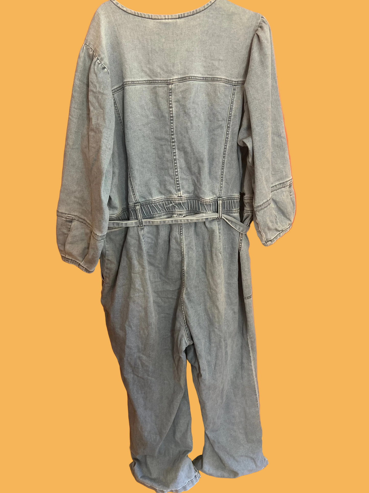 Lane Bryant Denim Jumpsuit