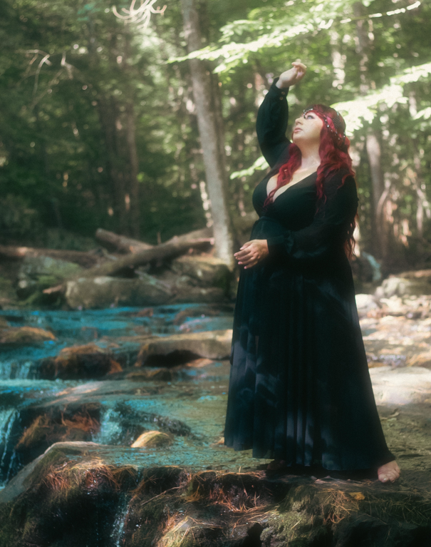 Sexy Diva Sheer Black Dress V Neck Die With Your Boots On